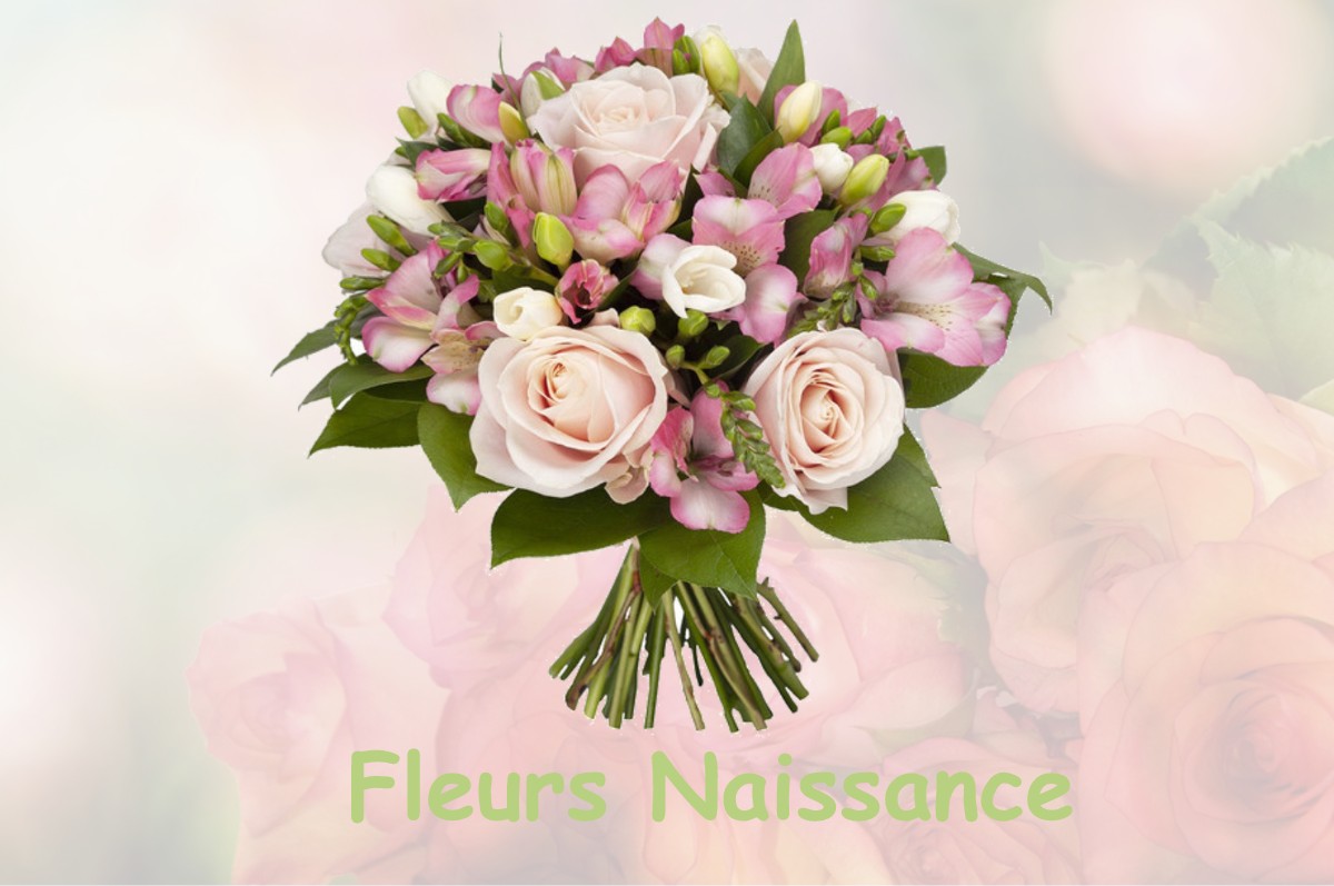 fleurs naissance COSNE-COURS-SUR-LOIRE